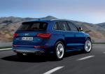 Audi SQ5 TDI 2013 года (WW)